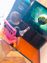 口コミ：最近のことまとめて♪／毎日飲んでいるお茶の画像（10枚目）