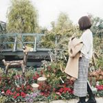 前にブログに載せた、イーザッカマニアストアーズでモニターしたシャギーニット。https://www.e-zakkamania.com/fs/ezakkamania/32190-1601042&hellip;のInstagram画像