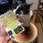 皆さん、こんにちは、あかねです！.今日はヘアリエ のリペアリーオイルを紹介したいと思います。.今回頂いたのはお試しだけど、意外と効果があって、正直買って使おうと思っています（笑）&hellip;のInstagram画像