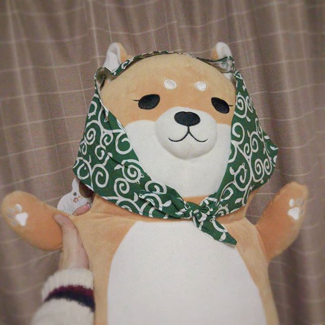 口コミ投稿：ほんやら堂さんの「柴ずきん」ちゃんがやって来ました🐾 ゆずの香り袋が入っていて、…