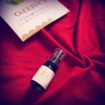 ..#CASEEPOとクリスマス #CASEEPO #ウチワサボテン #monipla #CASEEPO_fanのInstagram画像