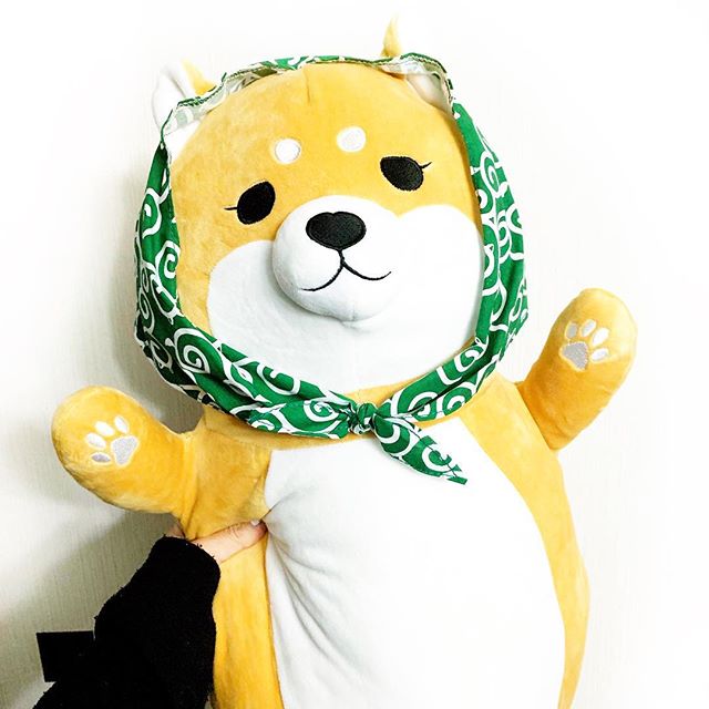 口コミ投稿：⠀- - - - - - - - - - - - - - - - - - - - - - - - - - - - - - - - -⠀#柴ずきんだ…