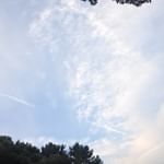 #ののじ #鼻トレ絆 #口呼吸で困っている事 #monipla #leben_fanのInstagram画像