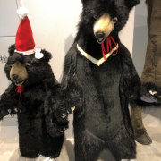 「宜しくお願い致します◎」【温活イベント！】インスタ限定★シルク腹巻・フォトコンテストの投稿画像