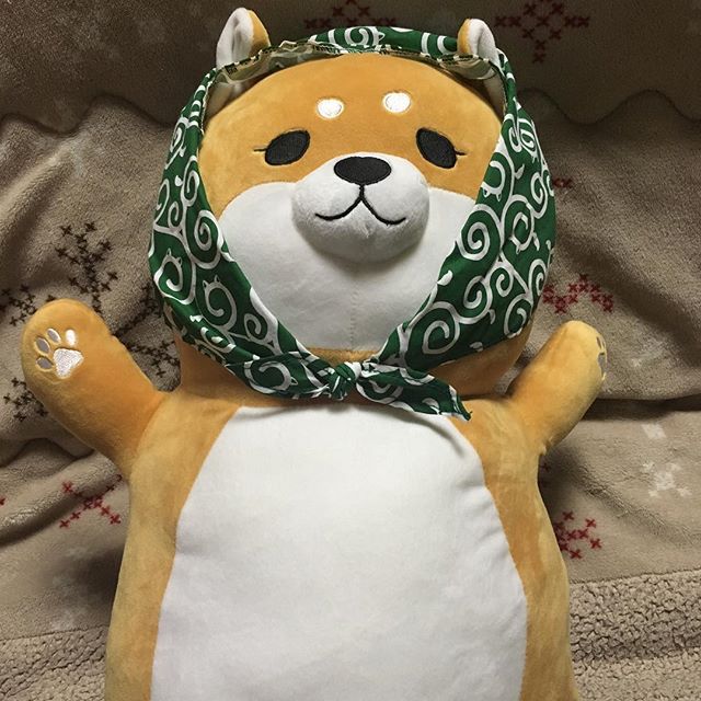 口コミ投稿：モニタープレゼントで当たったしばずきん💕お腹から顎下までにすっぽり収まるサイズで…