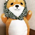 ほんやら堂さんの「柴ずきんだっこまくら」が当たりました！！！ふわふわで触り心地がいいだけでなく、柚子の香りがしてすごく癒される抱き枕です(&acute;&forall;｀)抱き枕の他にも、いろいろグッズがあるみたい&hellip;&hellip;&hellip;のInstagram画像