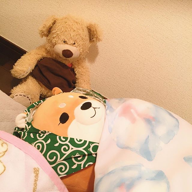 口コミ投稿：うちの新入りの