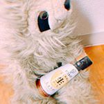 ピエトロの生しょうがソースいただきました！何気なく何に使おうかなって考えていたら、朝ごはんが卵かけご飯だったからそれに使ってみたら、何と&hellip;すごい美味しかったです。あの味の感じを表すのは&hellip;のInstagram画像