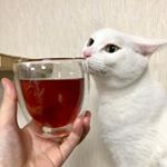・こはるもクンクン🌹とっても香りの良いノンカフェインのローズハーブティー☕︎ボダムのダブルウォールグラスは電子レンジOK🙆&zwj;♀️だから優秀！冷めたらチンして飲む〜二重だから&hellip;のInstagram画像