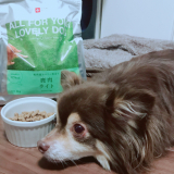 「とても気に入ってます。」の画像（1枚目）