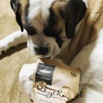 ファニマルのリズムのモニターをさせていただきました。2回目なので、今回はふりかけ的に、いつものフードの上にかけました。というのも、最近食いつきが悪いんですよね&hellip;P太は歯が悪いので（うちに来る前&hellip;のInstagram画像