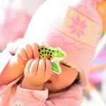 #ジョブインターナショナル 様から#メリッサ&ダグ の#サウンドパズル を#モニター させて頂いてます！ *リアルな鳴き声で☺✨どれも興味津々！何度もパズルをはめて遊んでます🙌✨ *&hellip;のInstagram画像