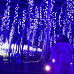 子供にも分かる魅力的な世界だったのかな👧💓笑顔が絶えない素敵な子に育って欲しい💓そんな家庭を作りたい👨&zwj;👩&zwj;👧&zwj;👦#あしフラフォト2018 #rou #バレンタイン #フェレロロシェファミ&hellip;のInstagram画像