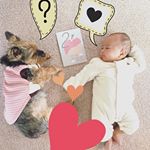 あっという間の生後二ヶ月😋やっとメグおばさん🐶と同じくらいの体重。少しずつ表情豊かに、人間らしくなってきました。#マタニティ #フェリシモマタニティ #フェリシモ #マタニティ記録 #&hellip;のInstagram画像