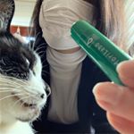 風が強いにゃー😸お母さんは花粉が飛び始めたので今日はこれ #花粉バリアスティック でガードするんだってにゃ😼マスクの外側鼻付近に軽くひと塗り１日3〜5回塗るんだって😺リップ&hellip;のInstagram画像