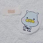 キズ保護パッド フィットバン✨完全防水タイプで、一般の絆創膏は水に濡れるとふやけるのが嫌なのでこれは嬉しい😙付ける時にシワになってしまった💦可愛いかばたんと一緒にパシャリ( &cap;'-'📷&sub; )&hellip;のInstagram画像