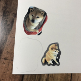 「万能なマグネットです」の画像（2枚目）