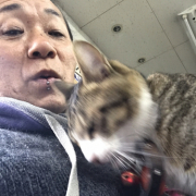 「よろしく」★モデル募集★ 美容液・サプリメント販売ページ用モデル募集♪の投稿画像