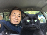「こんな」の画像（1枚目）