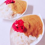 昨日は娘が大事な面接に挑みました☺️気合い入れて、昨日の朝ごはんはカレー🍛！帰って来て疲れたからか爆睡。よく寝る子です。#トビタテ #トビタテ高校生 #なんにでもあうカレー #&hellip;のInstagram画像