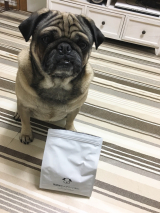 口コミ記事「無添加安心本舗の無添加ドックフード☆健康寿命を伸ばそう」の画像