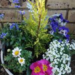 この春の新作まだ購入していません#コスメ購入品 #monipla #annikablanc_fanのInstagram画像