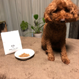 口コミ記事「愛犬とお彼岸。」の画像