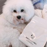 新しいドックフード🥰#ドッグフード無添加安心本舗小粒なんだけど犬って本来飲み込む習性があるから、ちょうどいいみたい！余計なものが入ってないからか、排泄物の匂いも低減した！😎💕 #無添加&hellip;のInstagram画像
