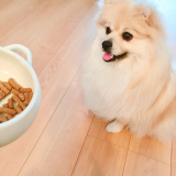 口コミ：♡無添加安全本舗のドックフード♡の画像（2枚目）