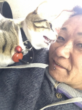ヨロ