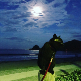 「ぶらと月」の画像（1枚目）