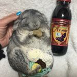 これは&hellip;&hellip;ベリーでしゅ🐭10***目が悪い私&hellip;&hellip;☝️☝🏻☝🏼ゲームのしすぎね🤣 【有機アロニア100%果汁ジュース】﻿ （有機JAS認証マーク付き）﻿ アロニアって何？って思ったけ&hellip;のInstagram画像