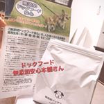 モニプラ経由で『無添加安心本舗』さんのドックフードをモニターさせていただきました！運悪く、届いた日は体調が悪く他のご飯は食べてくれないという状況😰ですが、試しに数粒手で与えると&hellip;のInstagram画像