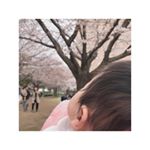 ⋆⋆⋆2019.04.03 80daysお花見に行ってきました〜🌸今住んでる駅もあるんだけど横浜まで💓まだ先週末(30日)はまばらだった&hellip;😭今日改めて行ったらほぼ満開🌸だけど1&hellip;のInstagram画像