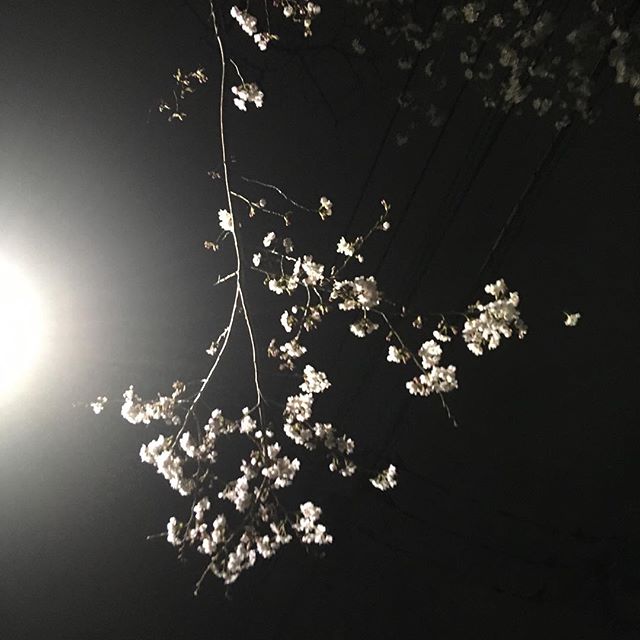 口コミ投稿：#mo #monipla #aainccojp_fan