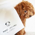 愛犬に無添加安心本舗のドッグフードを🌈家族と同じくらい大切な存在だから健康にも気を使ってあけだい❤うちのワンちゃん、胸焼けがするのか前まではよく吐いていたけど、このフードを食べた時は吐かなくな&hellip;のInstagram画像
