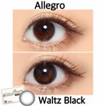 アレグロワルツブラック(@allegro.info ).( '&omega;'o[ 直径14.0mm 着色直径13.4mm BC8.6 ]o2ウィークカラコン.【 #yumのカラコンレ&hellip;のInstagram画像