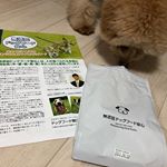 ♡無添加ドッグフード安心小型犬でも食べやすい大きさ♪* 抗菌剤を使用せずに善玉菌を増やして腸本来の機能を高める安心安全な無添加フードです。*一般的なドッグフードと比べると少量ですむ&hellip;のInstagram画像