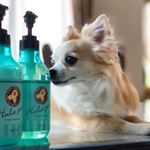 ..お疲れ様～😊連休始まりましたね✨💕.インフルエンザがめっちゃ今更流行ってるって📺で言ってました&hellip;💦.こんな長い連休に😓お出かけも程々にしとこっ..最&hellip;のInstagram画像