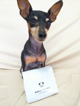 口コミ：ドッグフードの画像（1枚目）