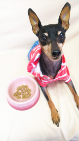 口コミ：ドッグフードの画像（3枚目）