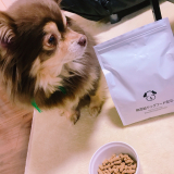 口コミ：無添加ドッグフード安心の画像（2枚目）