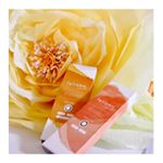 .あの、美しすぎる白石麻衣さんがイメージモデルのカラコンfeliamoを使ってみました✩︎&deg;｡⋆︎⸜(ू｡&bull;&omega;&bull;｡).私が使ったお色は✩︎⡱Sheer Black✩︎⡱Coppuc&hellip;のInstagram画像