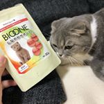 うりが足の調子が悪いんですよ&hellip;突然びっこ引いたりし出すので、#関節サポート 系の #サプリ 使い始めてみました。#バイオワン の #しなやかサポート #コラーゲン とか #ヒアルロン酸&hellip;のInstagram画像