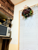 口コミ:無添加キャットフード♪の画像(5枚目)