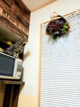 口コミ:無添加キャットフード♪の画像(4枚目)