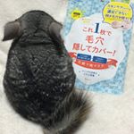 ※母の日のプレゼントでしゅよ🐭10※えーん😭パックにハマってるし&hellip;&hellip;毛穴の悩みがあるから。治るかなー？🤣※@monipla_official  @pdc_jp 様ありがとう&hellip;のInstagram画像
