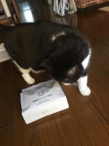 口コミ：無添加キャットフード・・・無添加安心本舗の画像（3枚目）