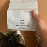 無添加キャットフードのお試しをウチの猫達にあげてみました。袋を見せた瞬間から興味津々の様子のウチのしま５歳🐈そしてウチのトラちゃん７歳🐈袋を開けると匂いがしたのか物凄くクンクンし始めました。&hellip;のInstagram画像