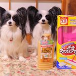 こんばんは😃今日は久々に遠くへお出掛けしてきました✊めちゃめちゃ楽しかった～‼️けど、うっかり顔以外に日焼け止め塗り忘れ、また首がボコボコ&かゆい&hellip;😥 *写真たまりまくりなので&hellip;のInstagram画像